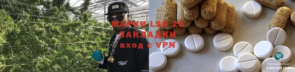гидропоника Горняк