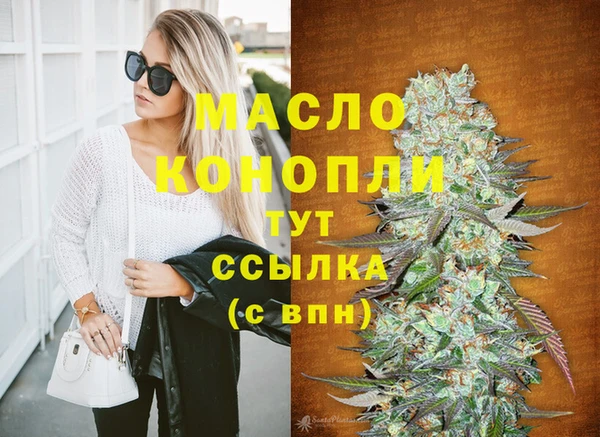 гидропоника Горняк